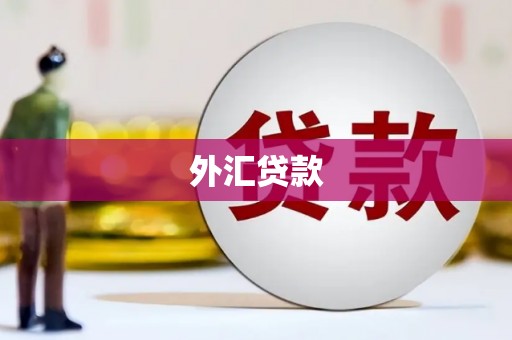 头份外汇贷款
