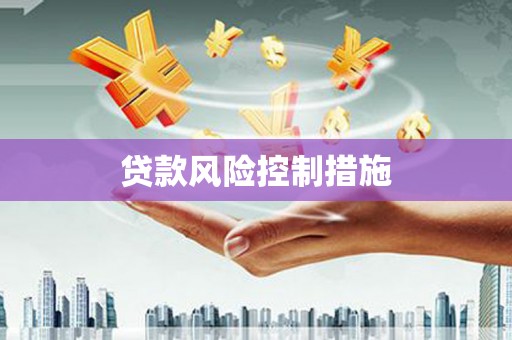 头份贷款风险控制措施