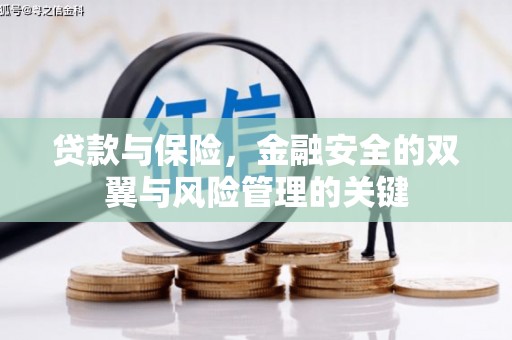头份贷款与保险，金融安全的双翼与风险管理的关键