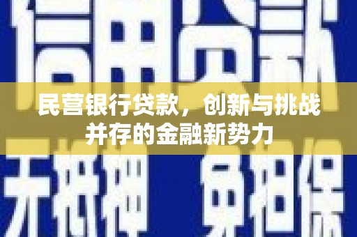 头份民营银行贷款，创新与挑战并存的金融新势力