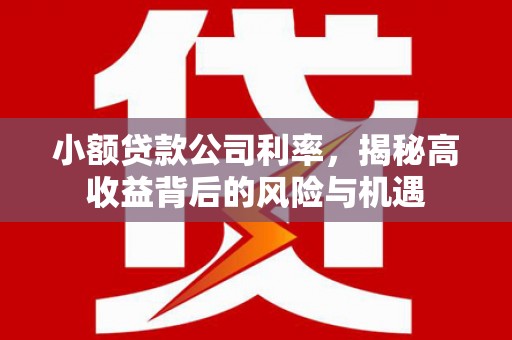 头份小额贷款公司利率，揭秘高收益背后的风险与机遇