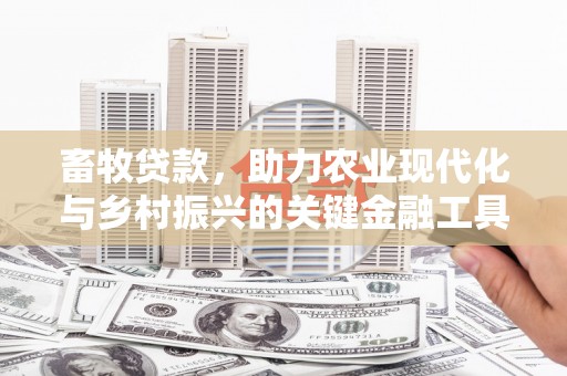 头份畜牧贷款，助力农业现代化与乡村振兴的关键金融工具