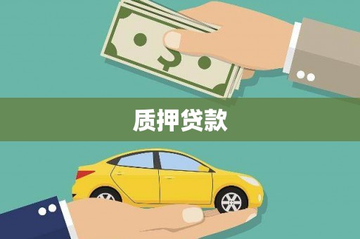 头份质押贷款