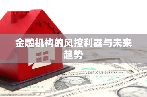 头份金融机构的风控利器与未来趋势