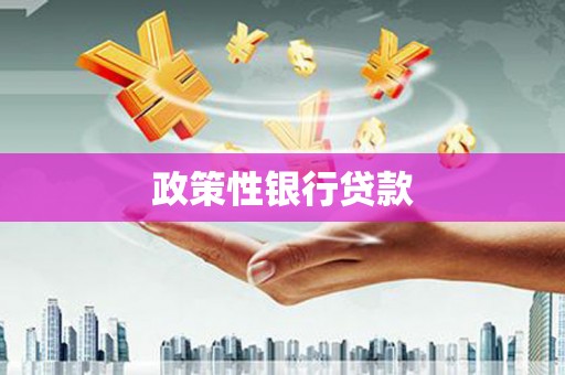 头份政策性银行贷款