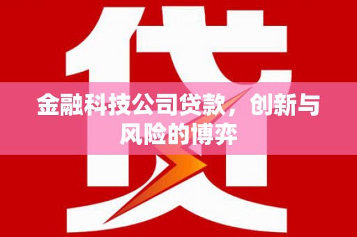 头份金融科技公司贷款，创新与风险的博弈