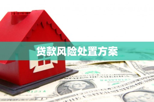 头份贷款风险处置方案