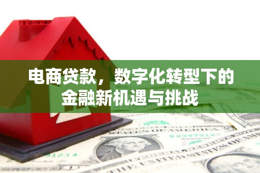 头份电商贷款，数字化转型下的金融新机遇与挑战