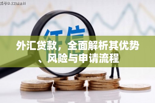 头份外汇贷款，全面解析其优势、风险与申请流程