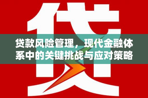 头份贷款风险管理，现代金融体系中的关键挑战与应对策略