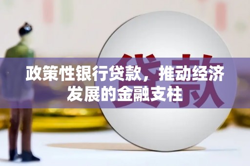 头份政策性银行贷款，推动经济发展的金融支柱