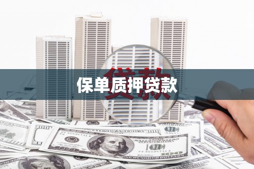 头份保单质押贷款