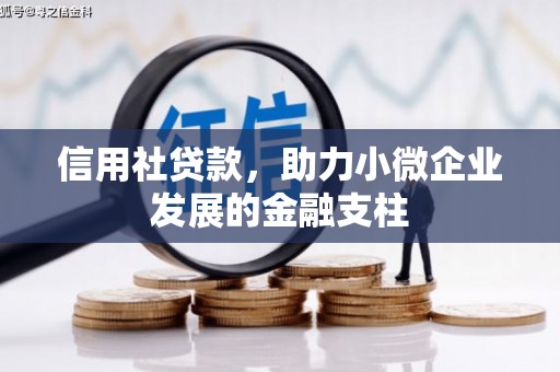 头份信用社贷款，助力小微企业发展的金融支柱