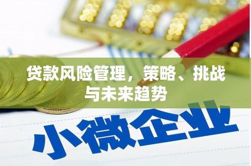 头份贷款风险管理，策略、挑战与未来趋势