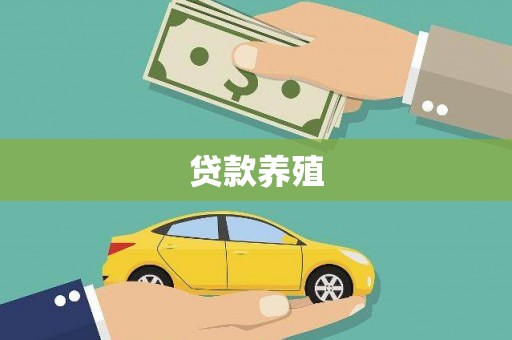 头份贷款养殖