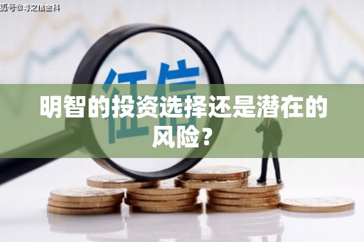 头份明智的投资选择还是潜在的风险？