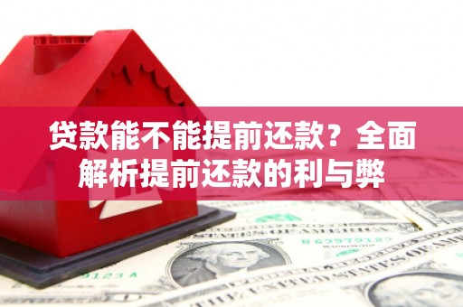 头份贷款能不能提前还款？全面解析提前还款的利与弊