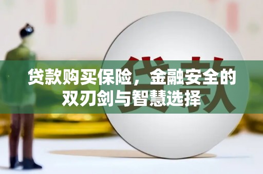 头份贷款购买保险，金融安全的双刃剑与智慧选择