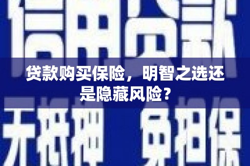 头份贷款购买保险，明智之选还是隐藏风险？