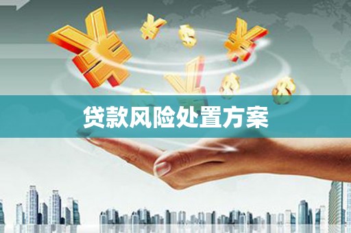 头份贷款风险处置方案