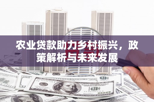 头份农业贷款助力乡村振兴，政策解析与未来发展