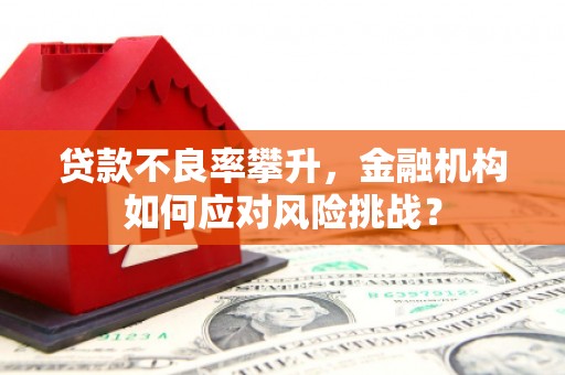 头份贷款不良率攀升，金融机构如何应对风险挑战？