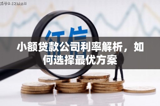 头份小额贷款公司利率解析，如何选择最优方案