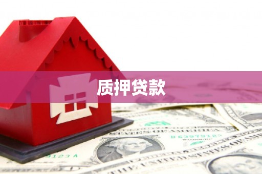 头份质押贷款