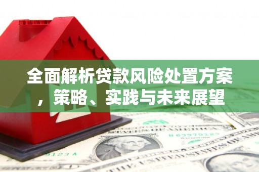 头份全面解析贷款风险处置方案，策略、实践与未来展望