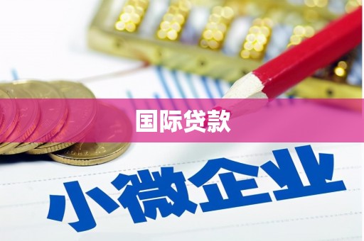 头份国际贷款