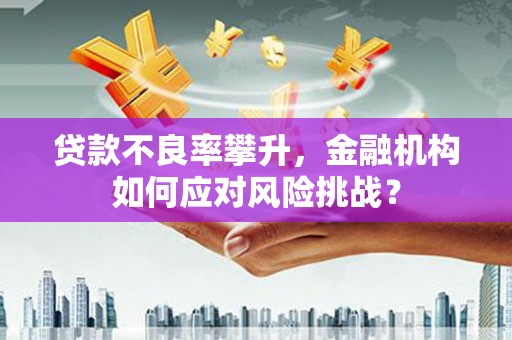 头份贷款不良率攀升，金融机构如何应对风险挑战？