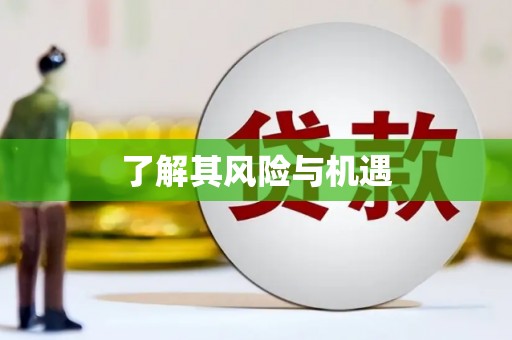 头份了解其风险与机遇