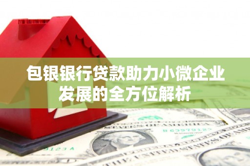 头份包银银行贷款助力小微企业发展的全方位解析 头份包银银行贷款助力小微企业发展的全方位解析