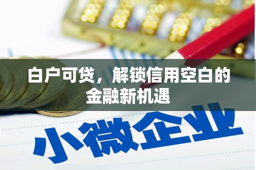 头份白户可贷，解锁信用空白的金融新机遇