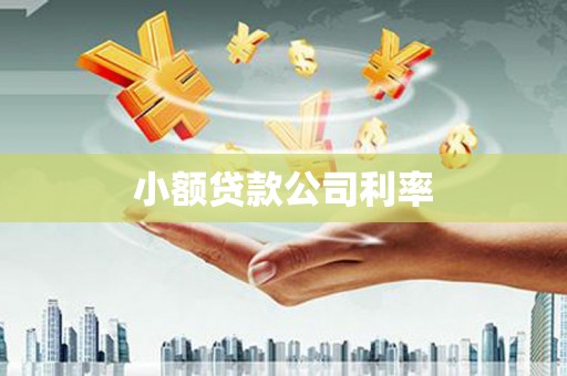 头份小额贷款公司利率