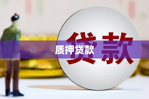 头份质押贷款