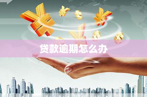 头份贷款逾期怎么办