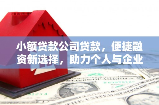 头份小额贷款公司贷款，便捷融资新选择，助力个人与企业成长