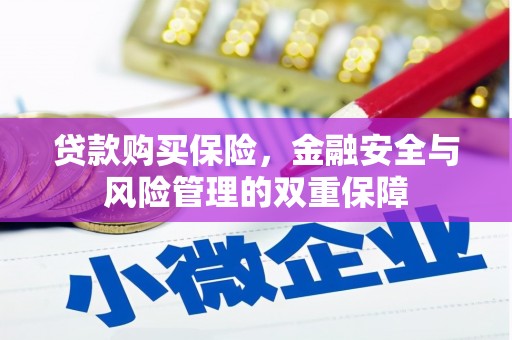 头份贷款购买保险，金融安全与风险管理的双重保障
