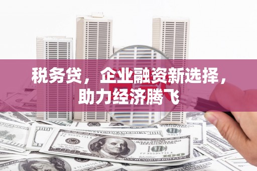 头份税务贷，企业融资新选择，助力经济腾飞