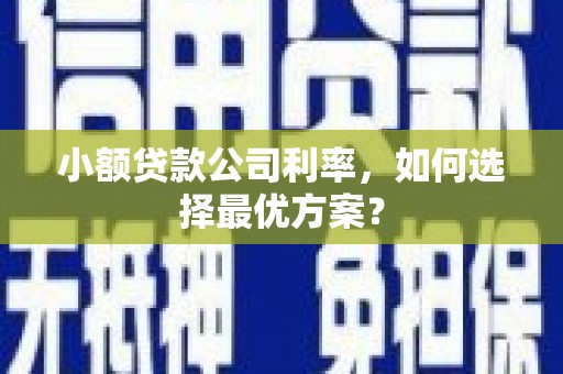 头份小额贷款公司利率，如何选择最优方案？