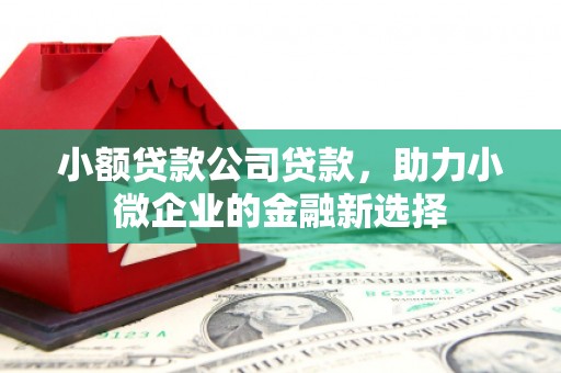 头份小额贷款公司贷款，助力小微企业的金融新选择
