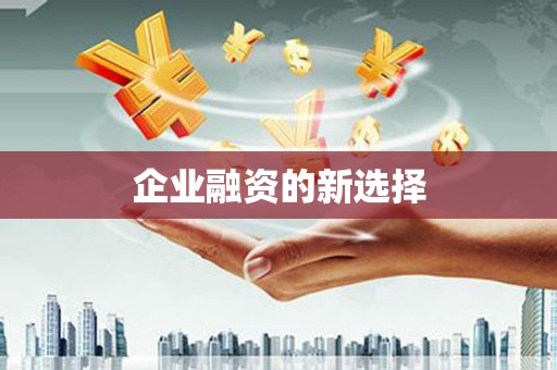 头份企业融资的新选择