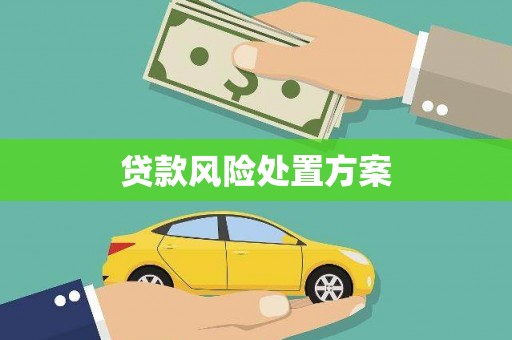 头份贷款风险处置方案