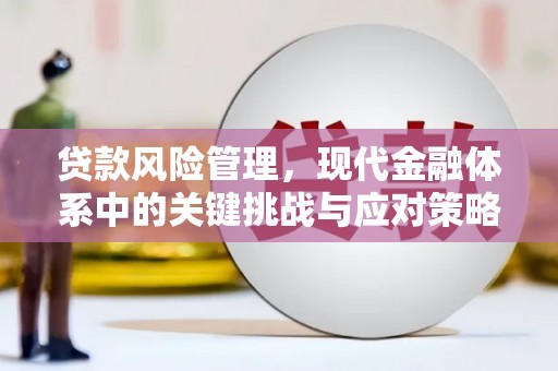 头份贷款风险管理，现代金融体系中的关键挑战与应对策略