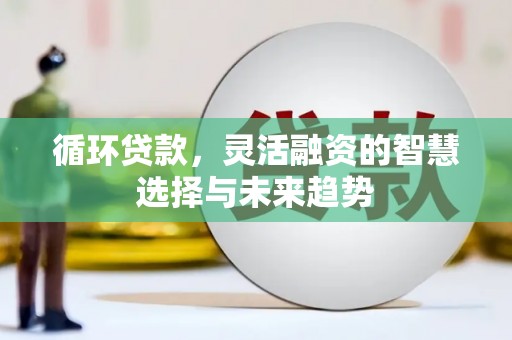 头份循环贷款，灵活融资的智慧选择与未来趋势