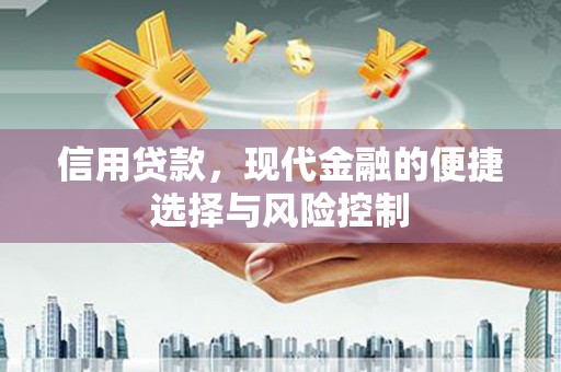 头份信用贷款，现代金融的便捷选择与风险控制