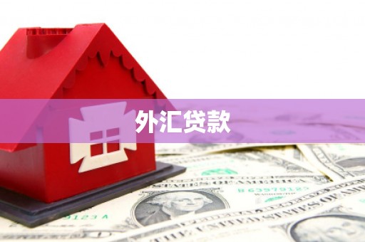 头份外汇贷款