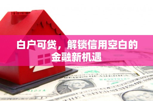 头份白户可贷，解锁信用空白的金融新机遇