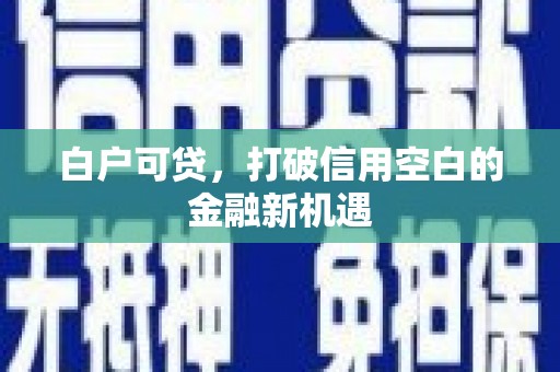 头份白户可贷，打破信用空白的金融新机遇